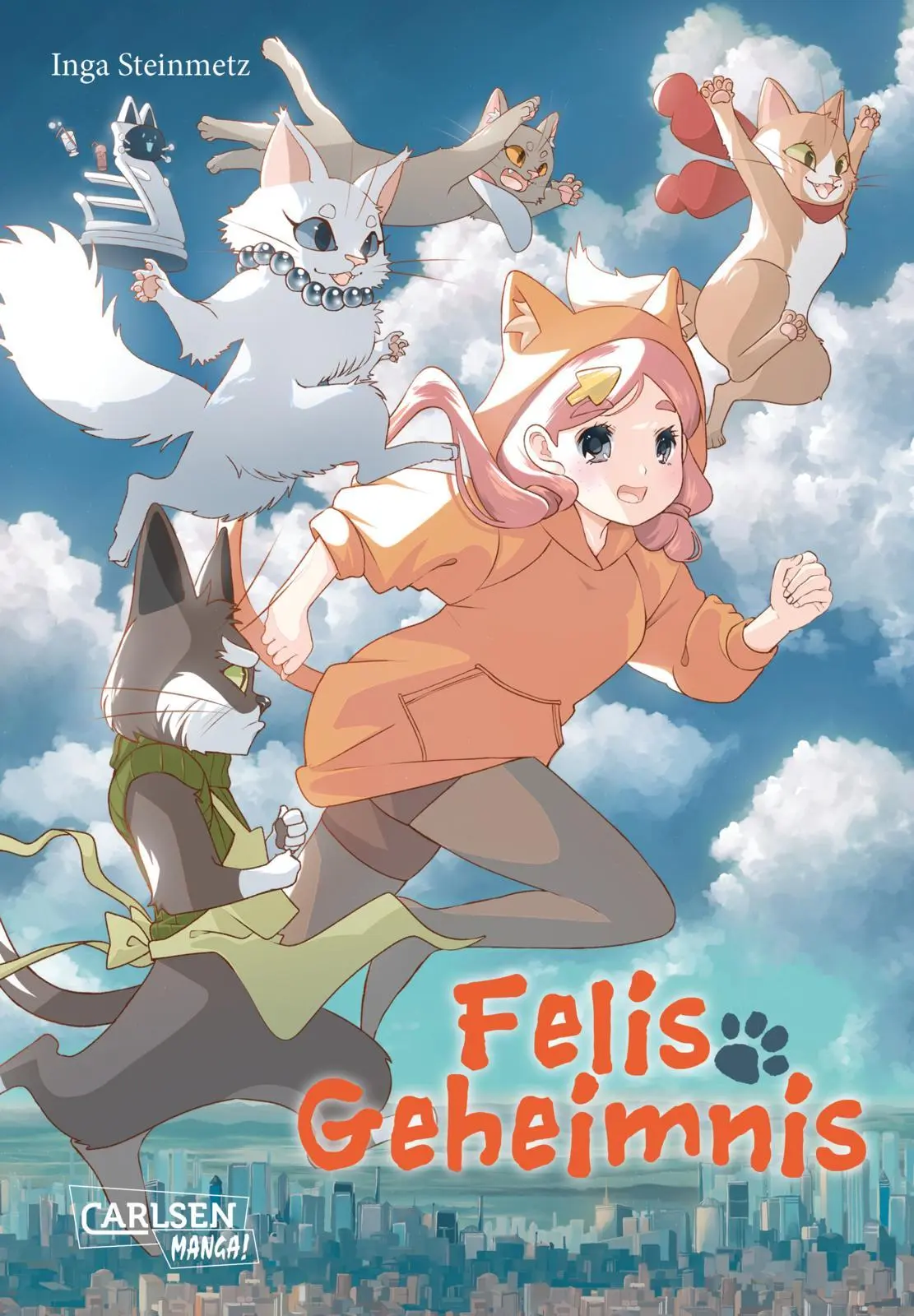 Cover: 9783551802163 | Felis Geheimnis | Inga Steinmetz | Taschenbuch | 144 S. | Deutsch