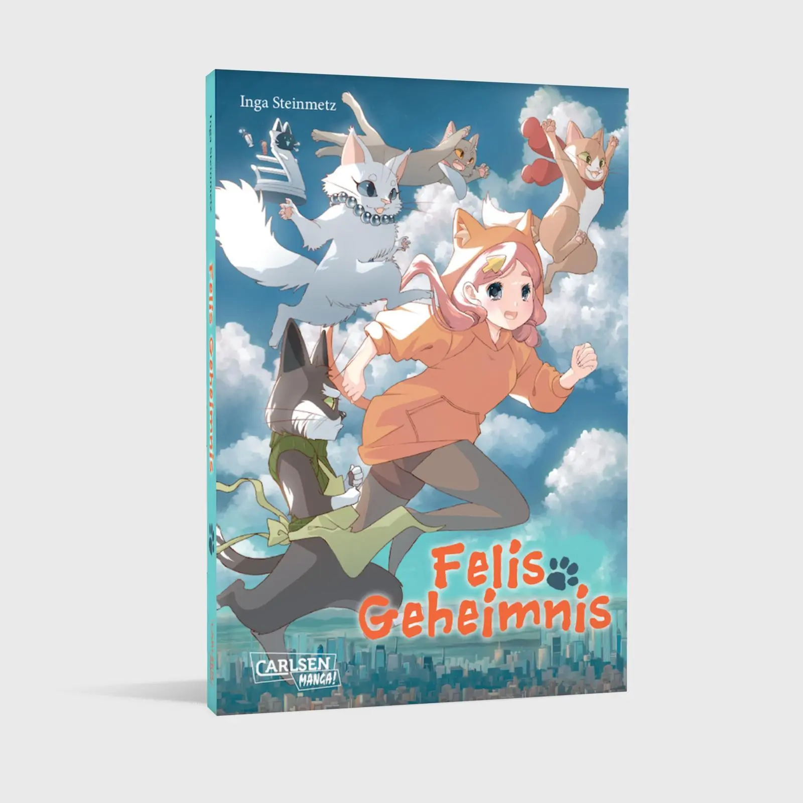 Bild: 9783551802163 | Felis Geheimnis | Inga Steinmetz | Taschenbuch | 144 S. | Deutsch