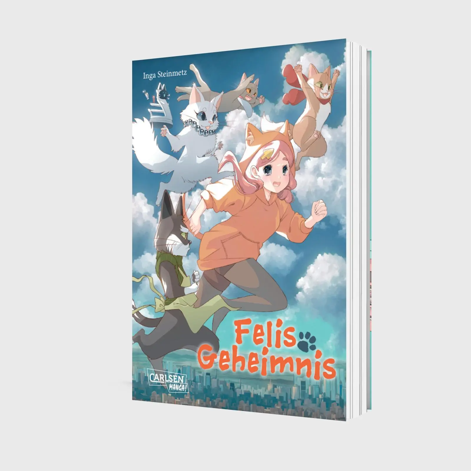 Bild: 9783551802163 | Felis Geheimnis | Inga Steinmetz | Taschenbuch | 144 S. | Deutsch