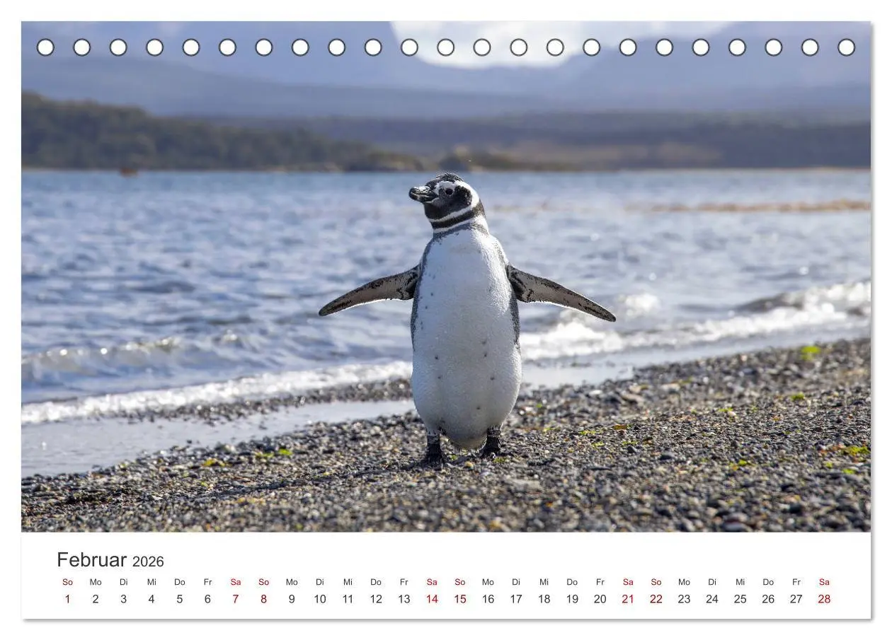 Bild: 9783457602263 | Argentinien - Das bezaubernde Land in Südamerika. (Tischkalender...