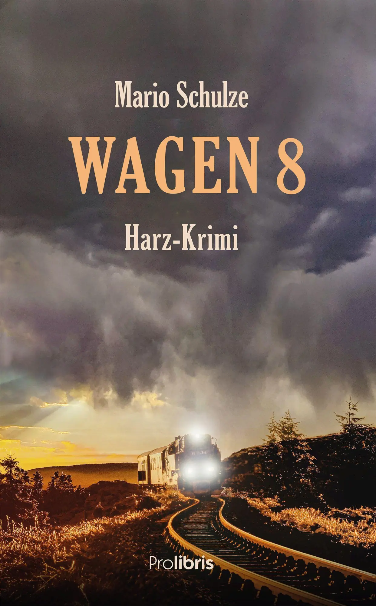 Cover: 9783954752263 | Wagen 8 | Harz-Krimi | Mario Schulze | Taschenbuch | 335 S. | Deutsch
