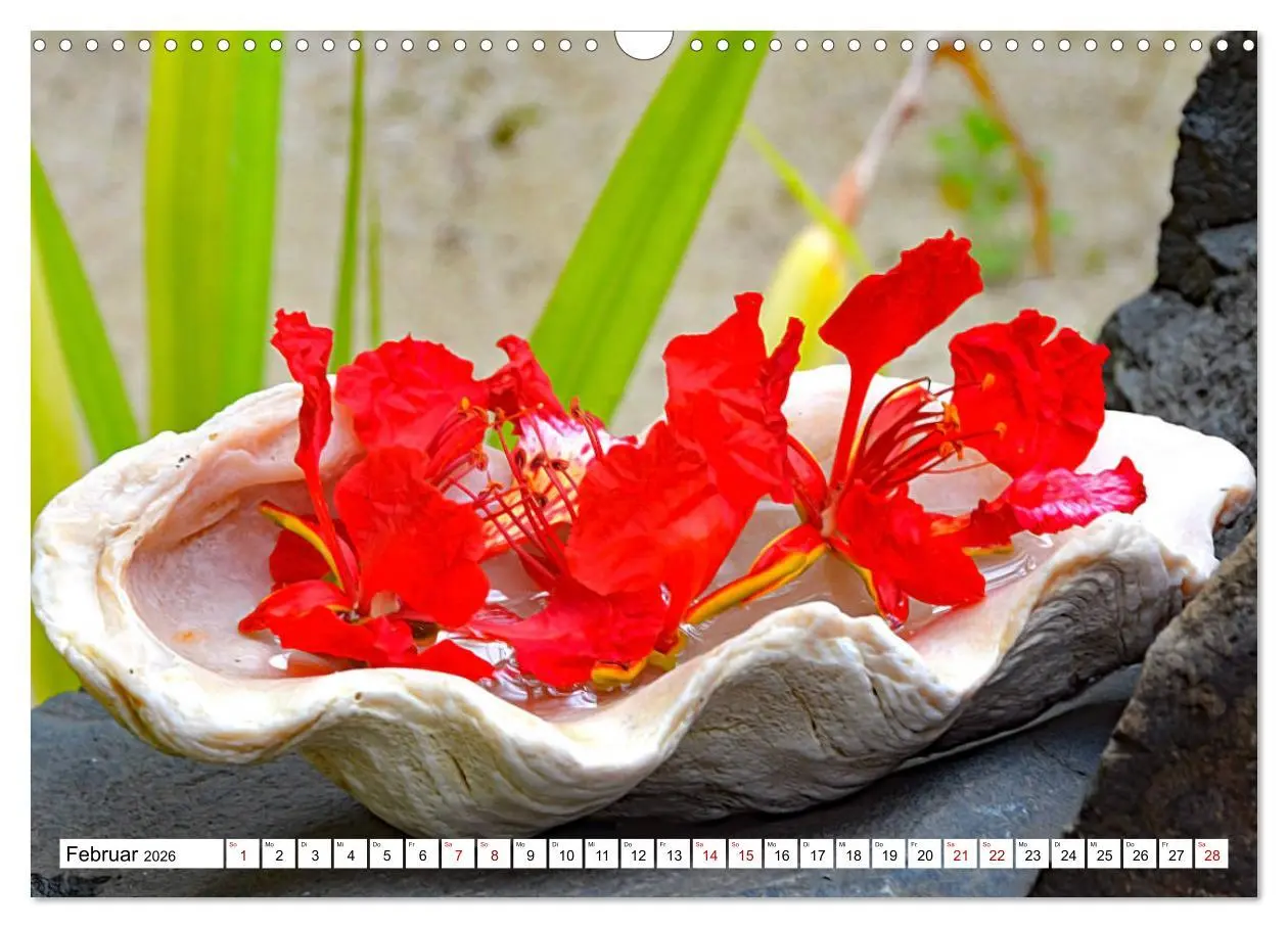 Bild: 9783457832363 | Rarotonga - Trauminsel im Südpazifik. (Wandkalender 2026 DIN A3...