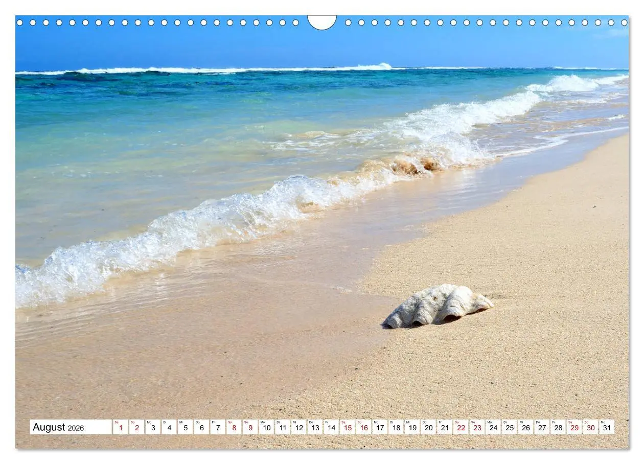 Bild: 9783457832363 | Rarotonga - Trauminsel im Südpazifik. (Wandkalender 2026 DIN A3...