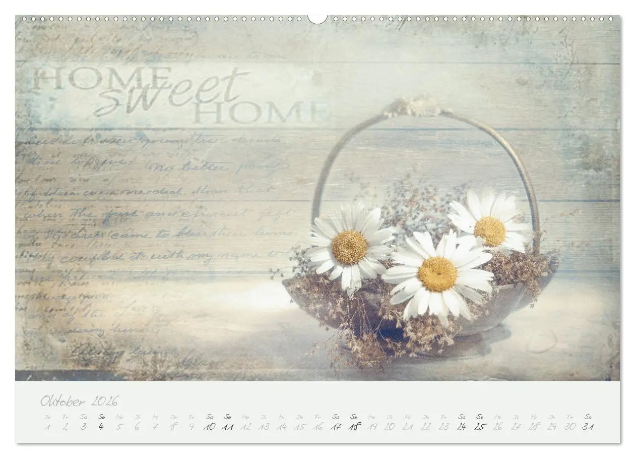 Bild: 9783457902363 | Shabby ist Chic (Wandkalender 2026 DIN A2 quer), CALVENDO...