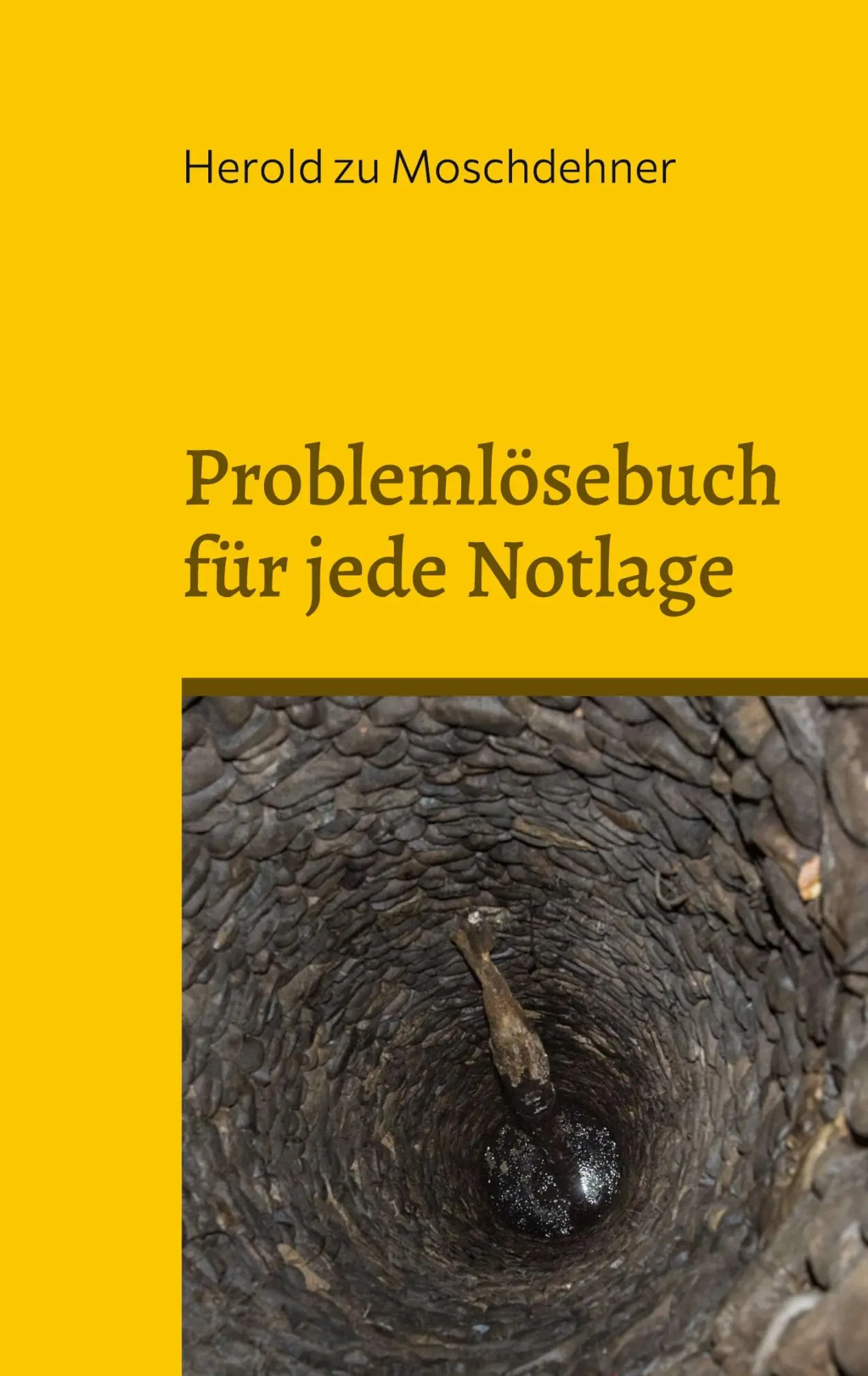 Cover: 9783756292363 | Problemlösebuch für jede Notlage | Funktioniert zuverlässig | Buch