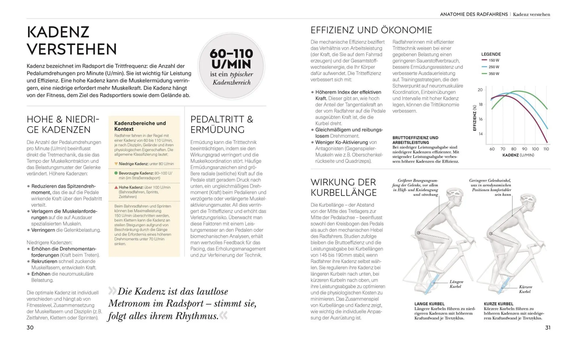 Bild: 9783831052363 | Radsport - die Anatomie verstehen | David Bailey | Taschenbuch | 2026