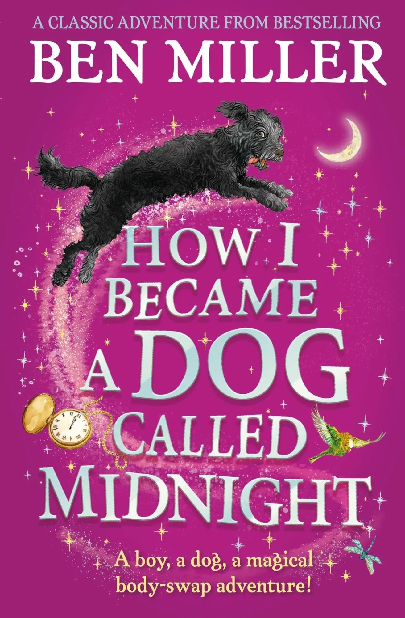 Cover: 9781471192463 | How I Became a Dog Called Midnight | Ben Miller | Taschenbuch | 320 S.
