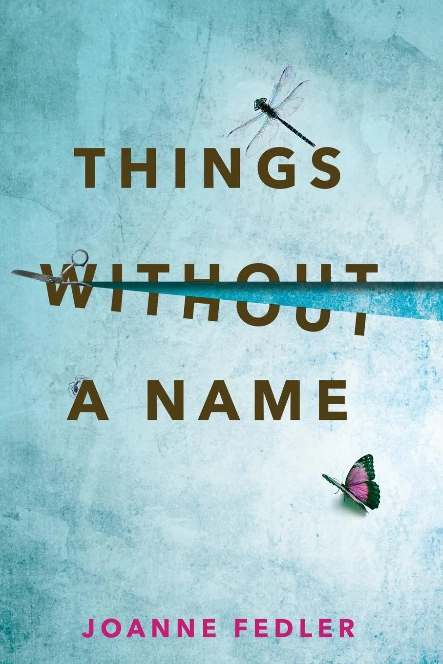 Cover: 9781925842463 | Things Without A Name | Joanne Fedler | Taschenbuch | Englisch | 2023
