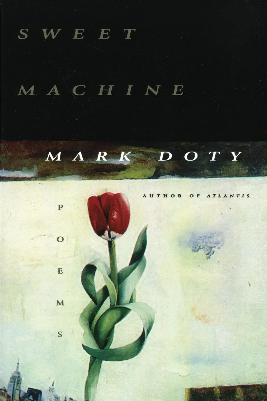 Cover: 9780060952563 | Sweet Machine | Mark Doty | Taschenbuch | Kartoniert / Broschiert