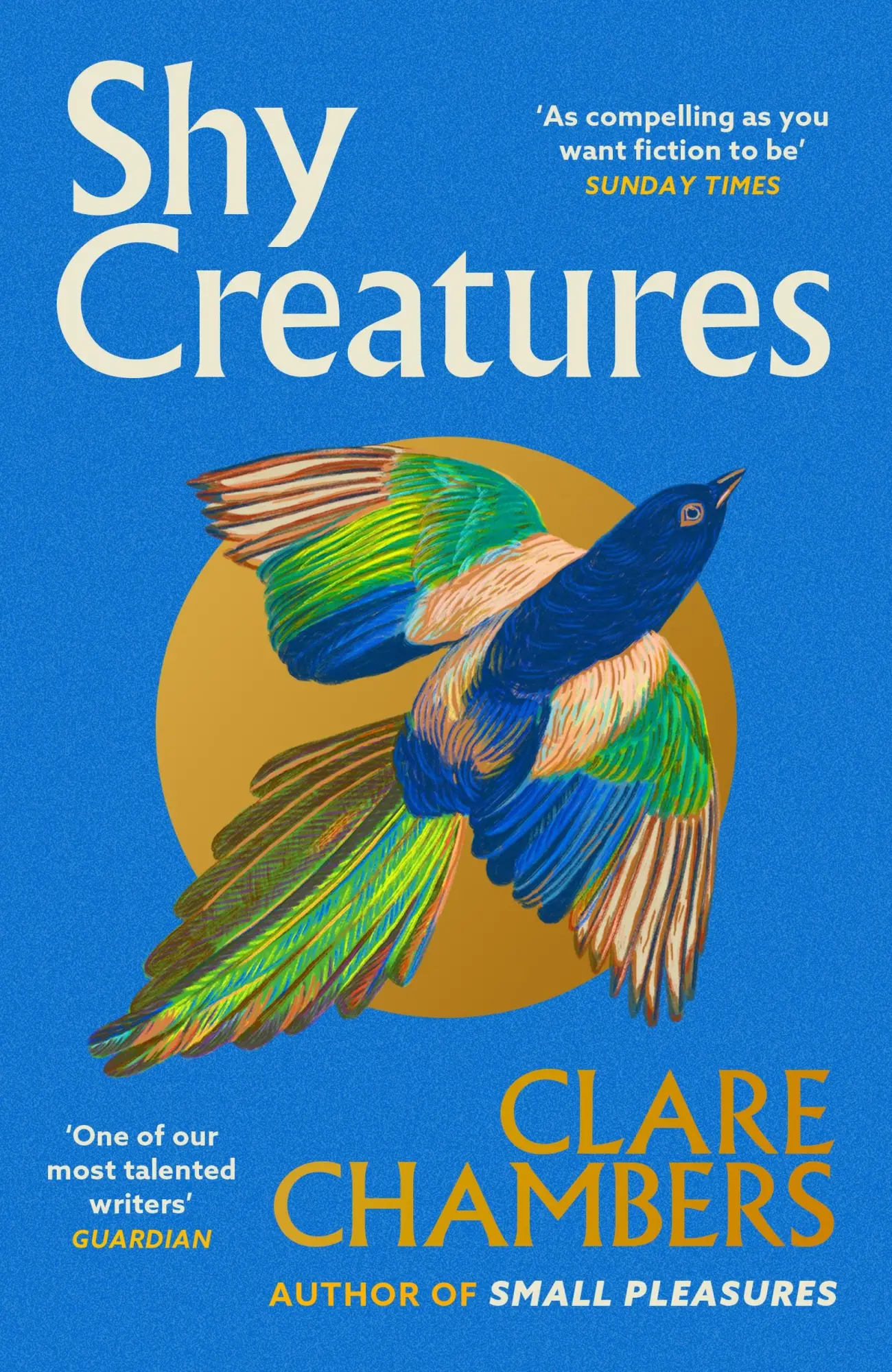 Cover: 9781399602563 | Shy Creatures | Clare Chambers | Taschenbuch | 400 S. | Englisch