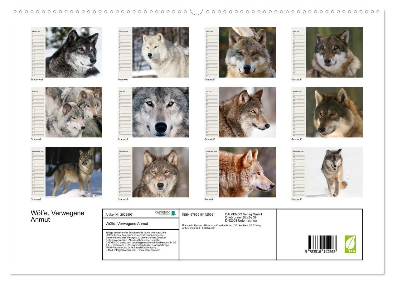 Bild: 9783516142563 | Wölfe. Verwegene Anmut (hochwertiger Premium Wandkalender 2026 DIN...