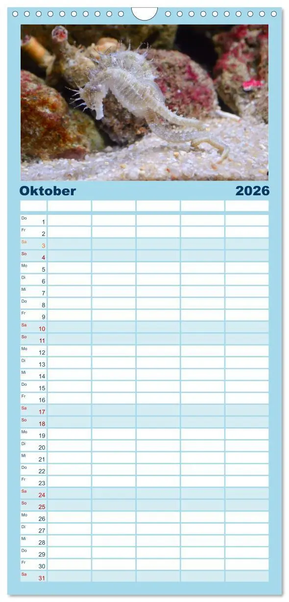 Bild: 9783516522563 | Familienplaner 2026 - Fische und Meerestiere mit 5 Spalten...