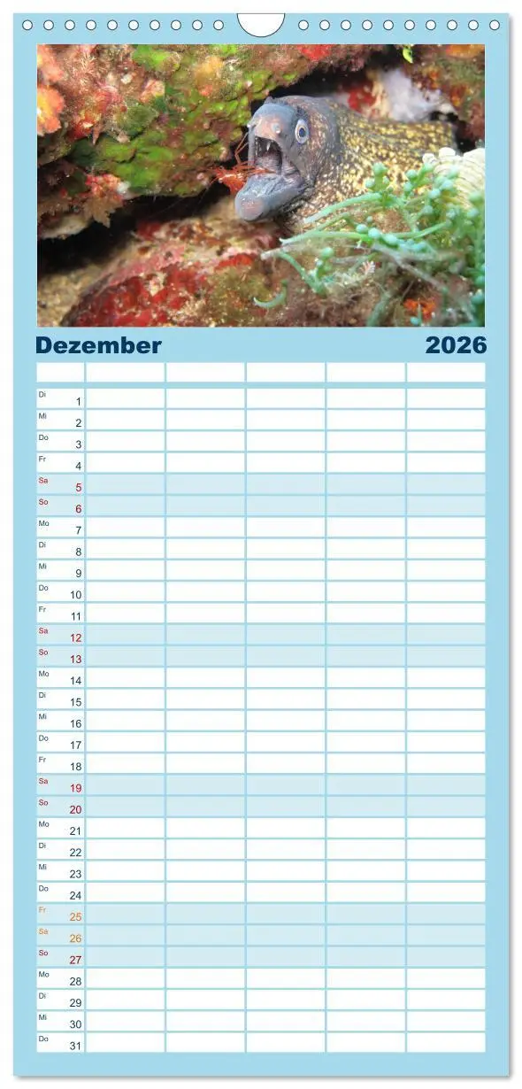 Bild: 9783516522563 | Familienplaner 2026 - Fische und Meerestiere mit 5 Spalten...