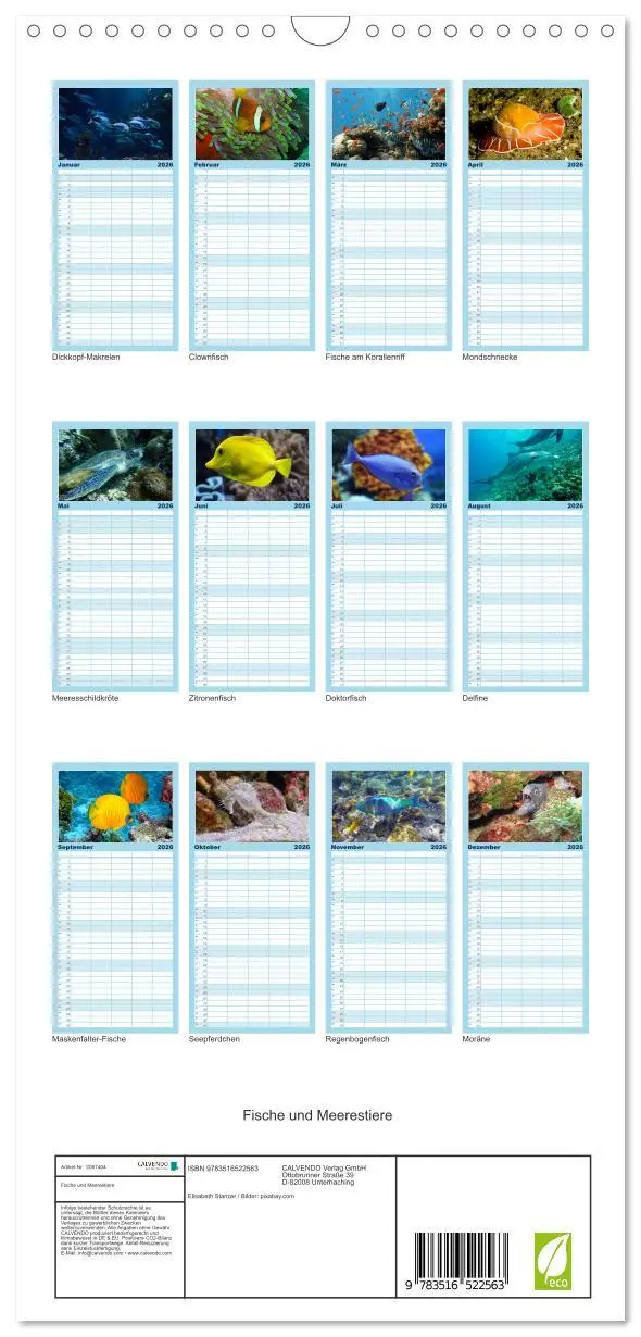 Bild: 9783516522563 | Familienplaner 2026 - Fische und Meerestiere mit 5 Spalten...