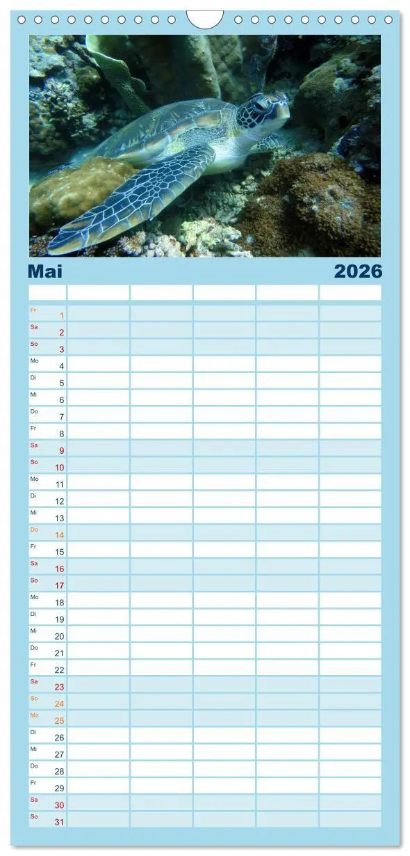 Bild: 9783516522563 | Familienplaner 2026 - Fische und Meerestiere mit 5 Spalten...