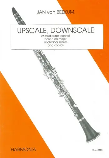 Cover: 9789043152563 | Upscale, Downscale | Jan van Beekum | Buch | Harmonia