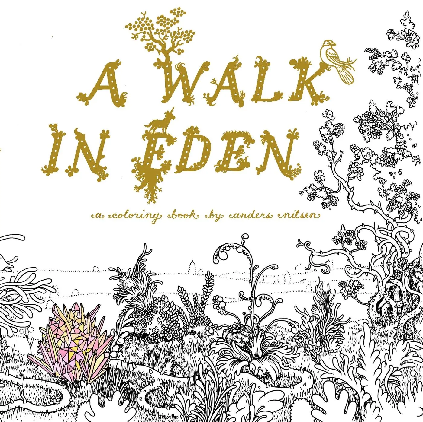 Cover: 9781770462663 | A Walk in Eden | A Colouring Book by Anders Nilsen | Anders Nilsen