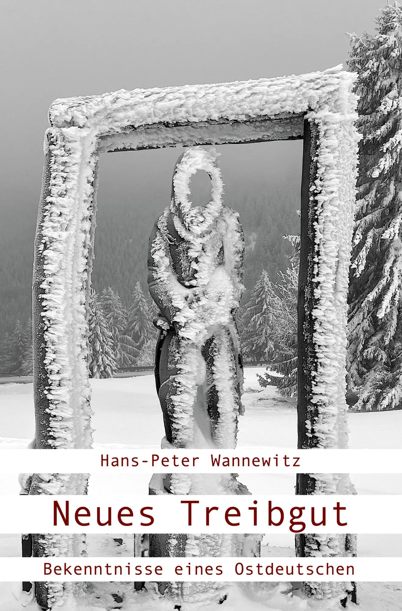 Cover: 9783988852663 | Neues Treibgut | Hans-Peter Wannewitz | Taschenbuch | 170 S. | Deutsch