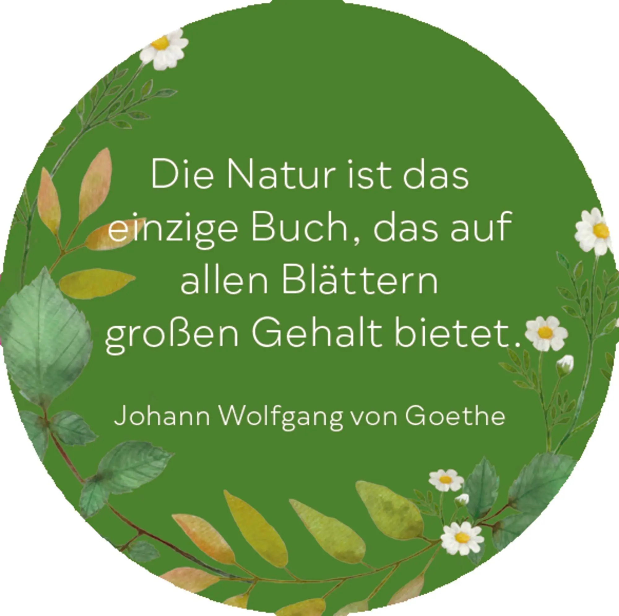 Bild: 4050003972763 | Sprüchedose - Nimm eins! Momente zum Durchatmen für dich | Taschenbuch