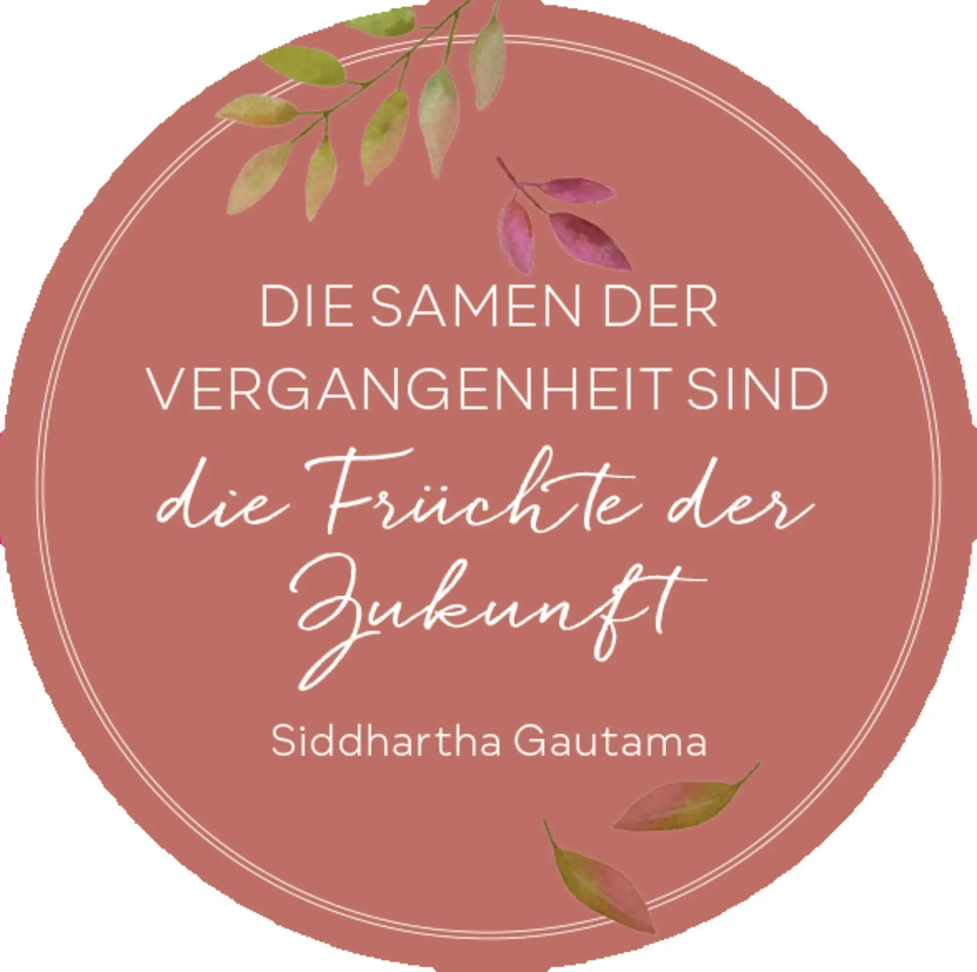 Bild: 4050003972763 | Sprüchedose - Nimm eins! Momente zum Durchatmen für dich | Taschenbuch