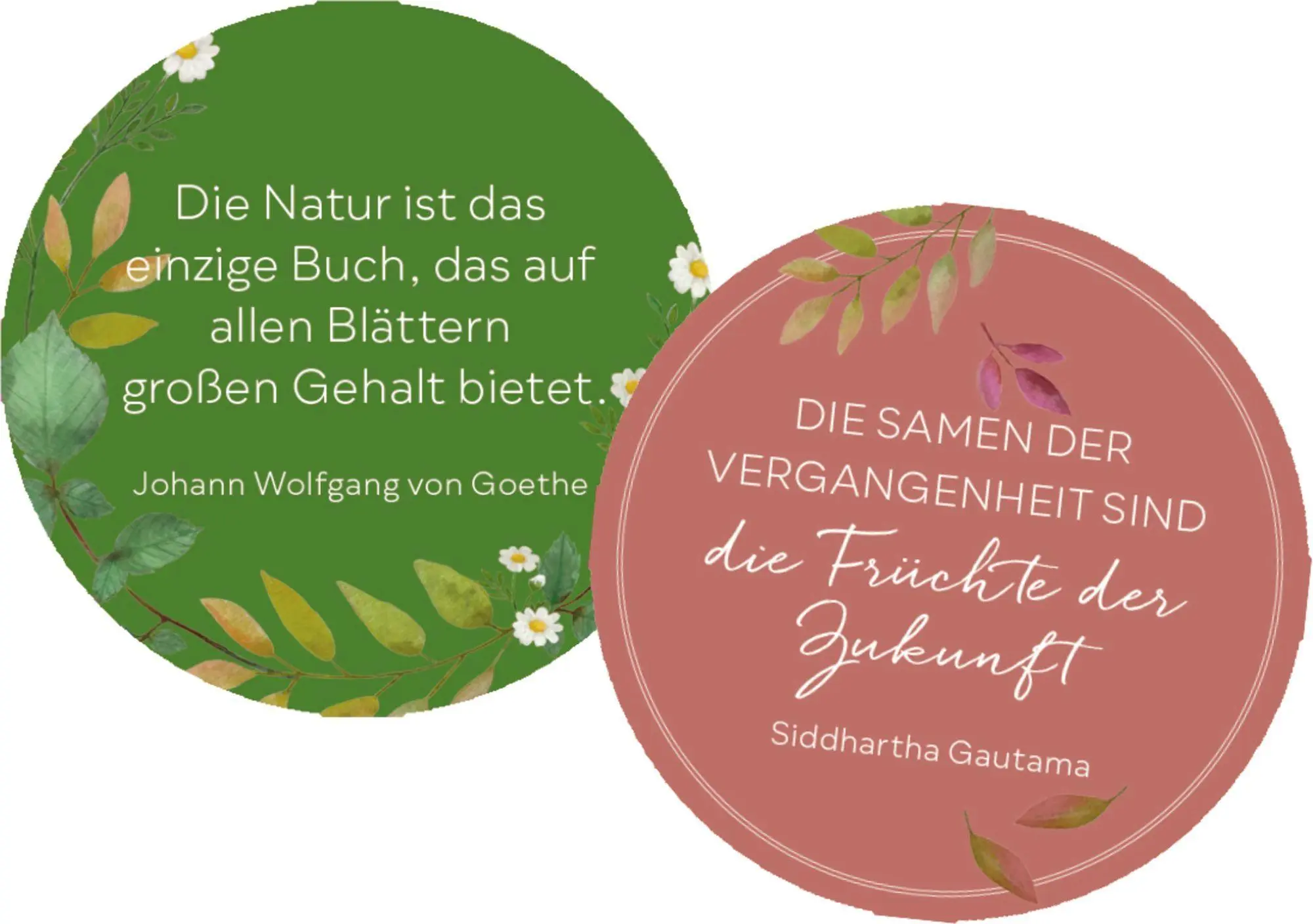 Bild: 4050003972763 | Sprüchedose - Nimm eins! Momente zum Durchatmen für dich | Taschenbuch