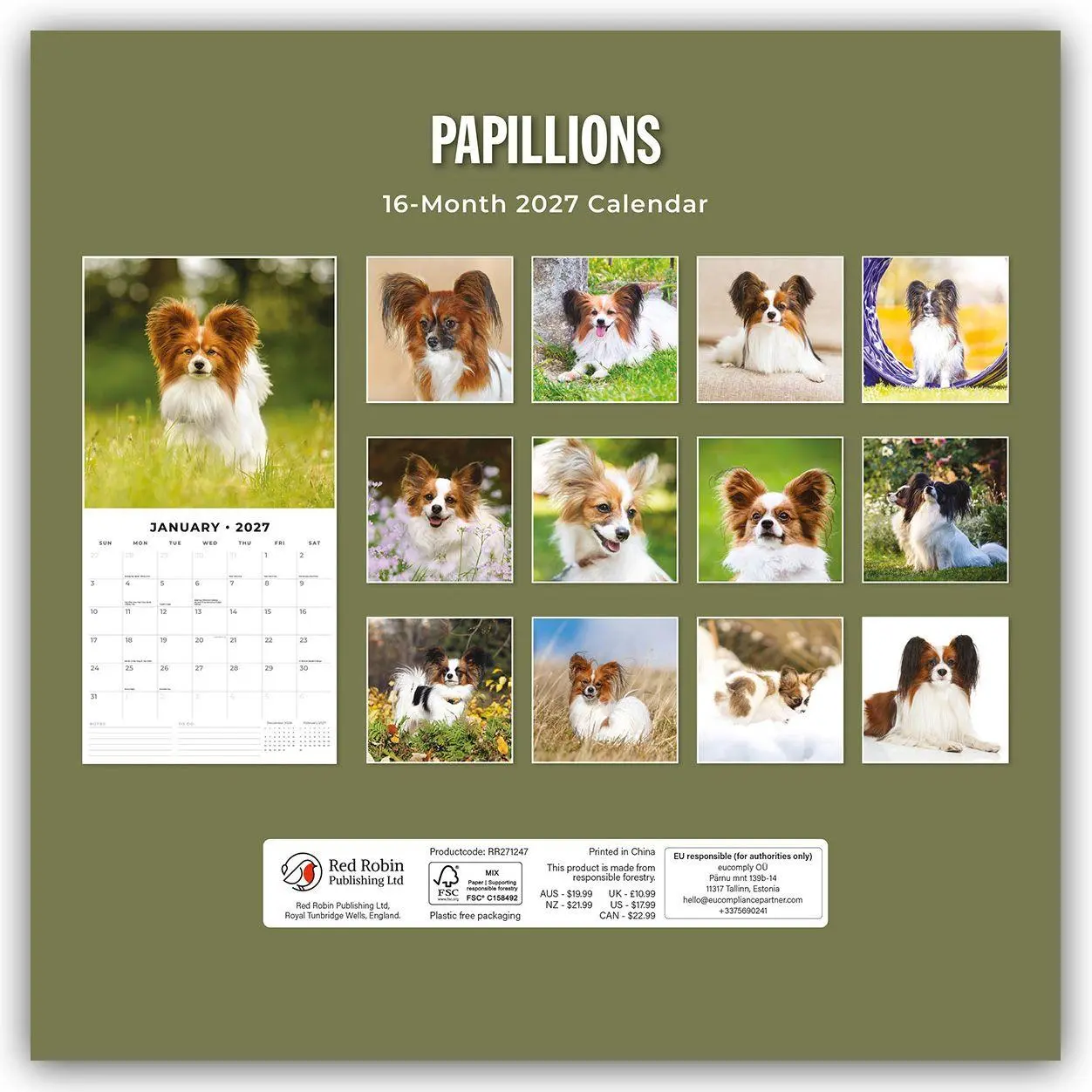 Rückseite: 9781837012763 | Papillons - Schmetterlingshund - Zwergspaniel 2027 - 16-Monatskalender