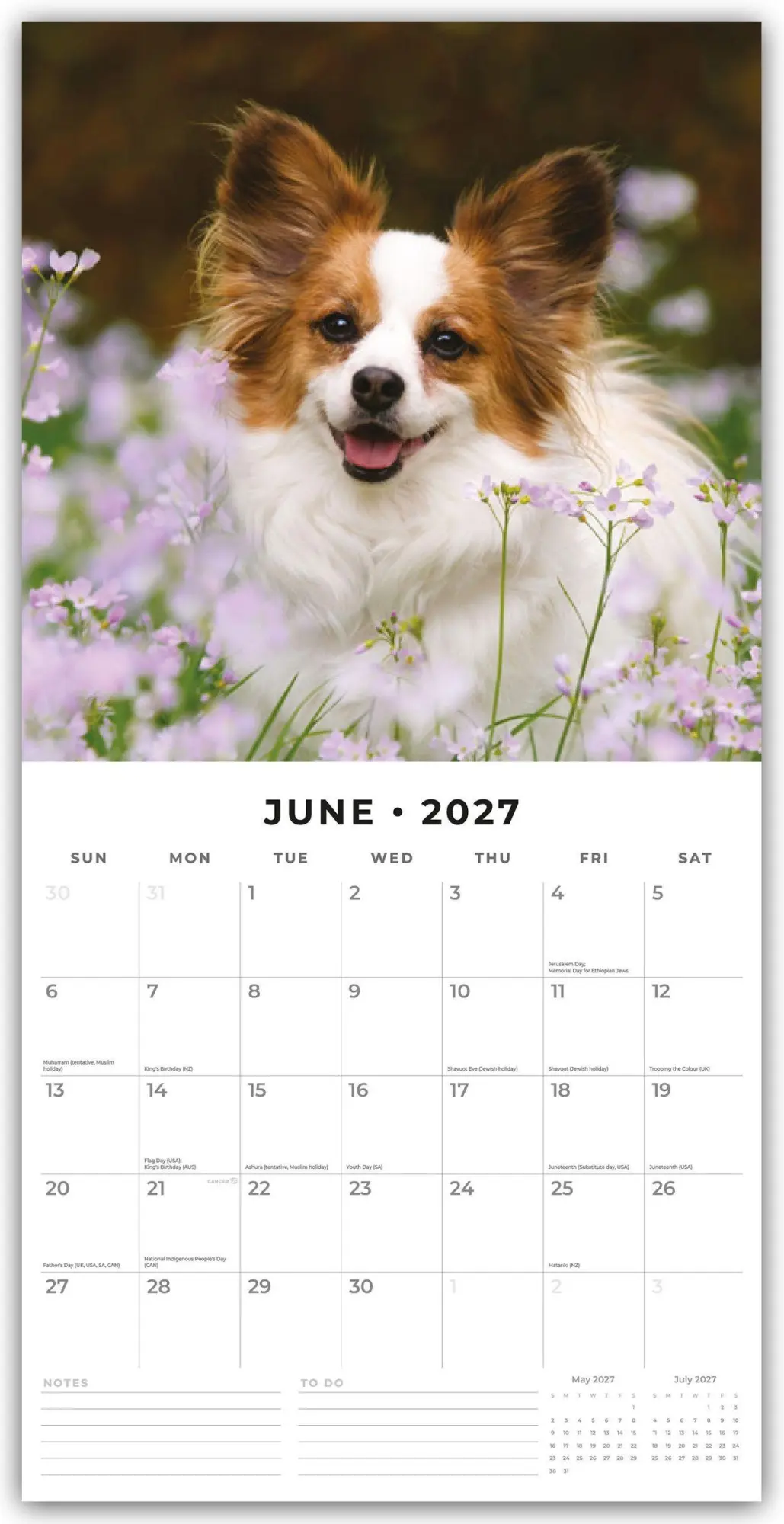 Bild: 9781837012763 | Papillons - Schmetterlingshund - Zwergspaniel 2027 - 16-Monatskalender