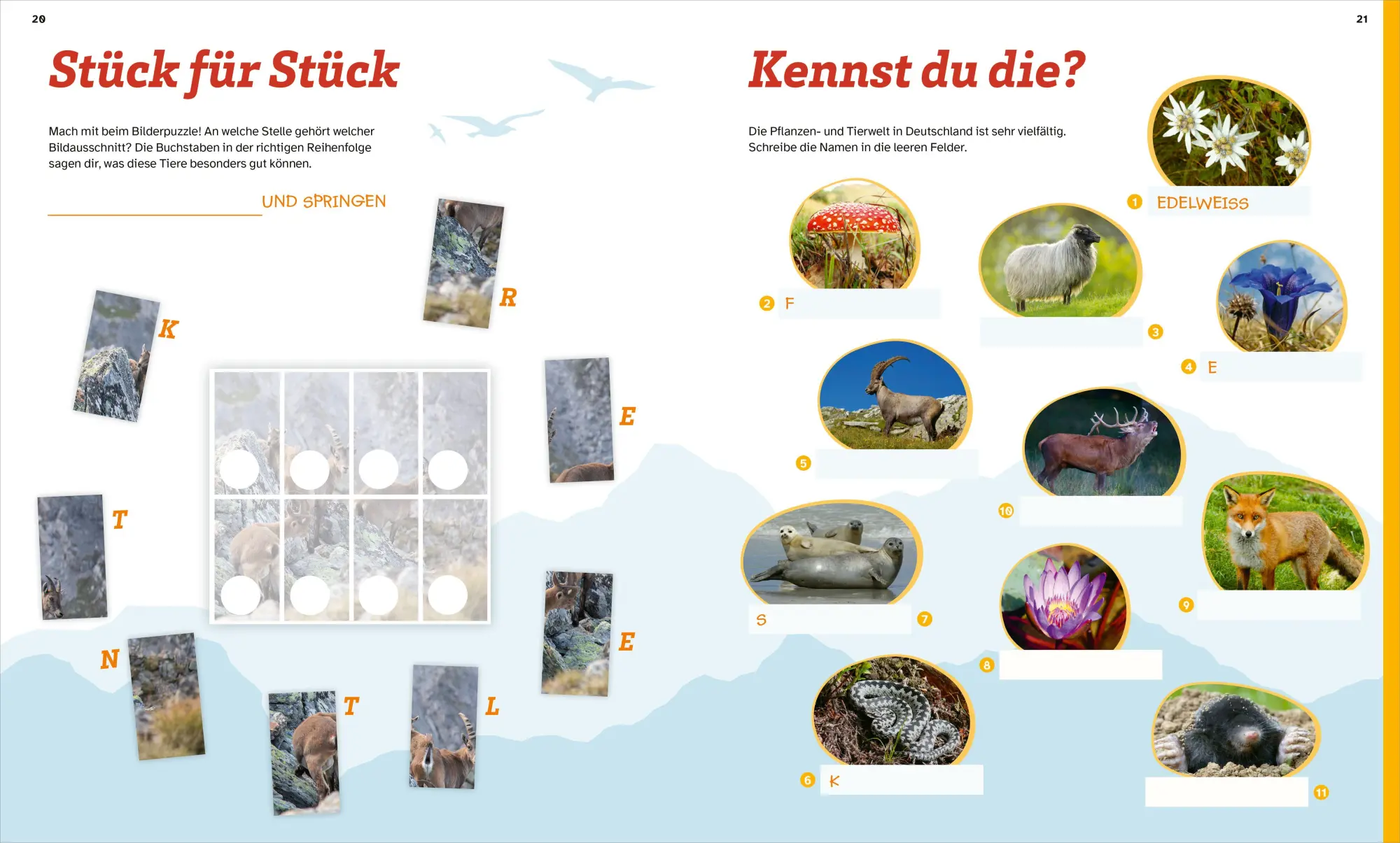 Bild: 9783788622763 | WAS IST WAS Rätseln und Stickern: Deutschland | KG | Broschüre | 24 S.