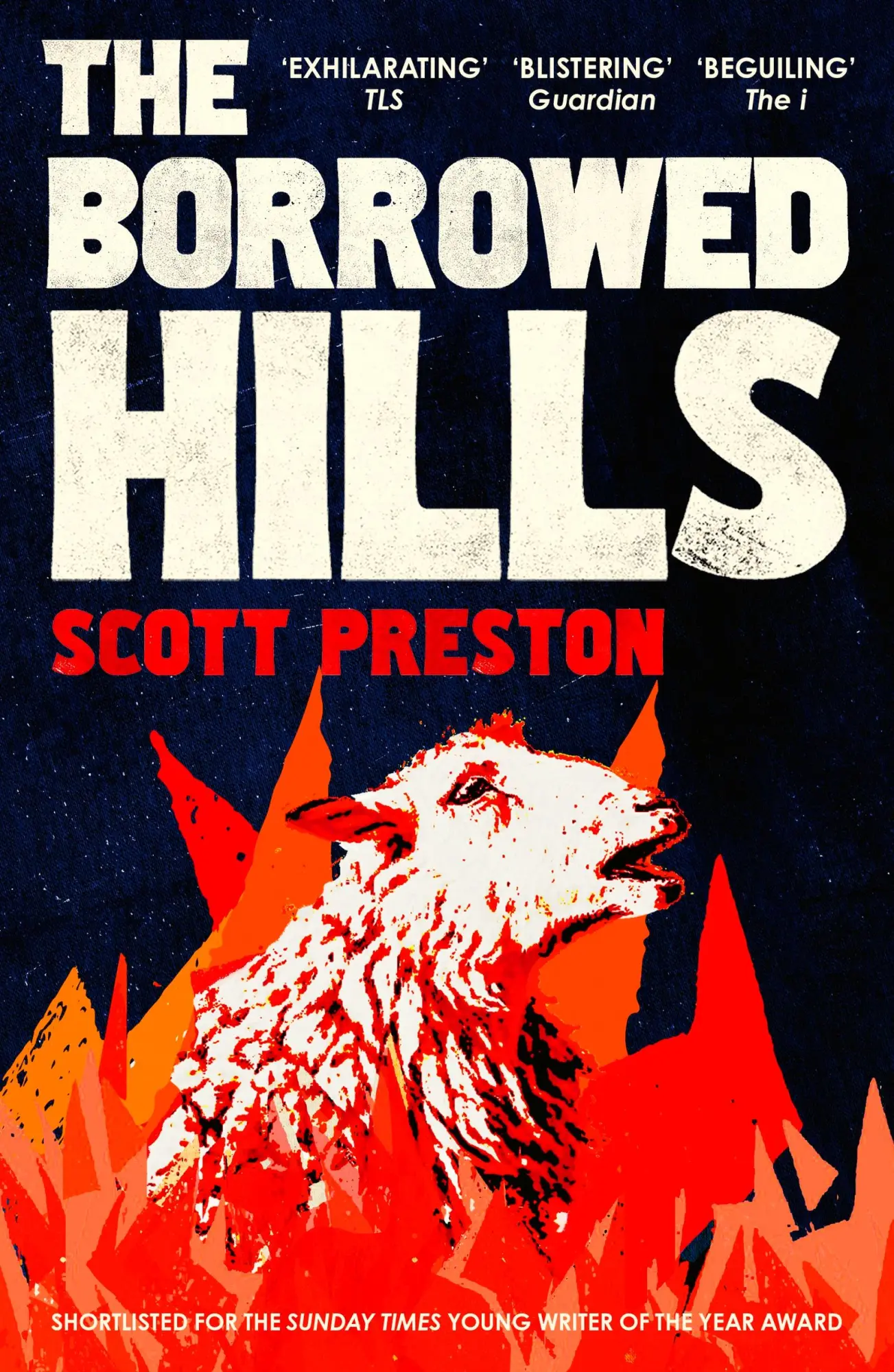 Cover: 9781399812863 | The Borrowed Hills | 'A sucker-punch of a novel' Guardian | Preston
