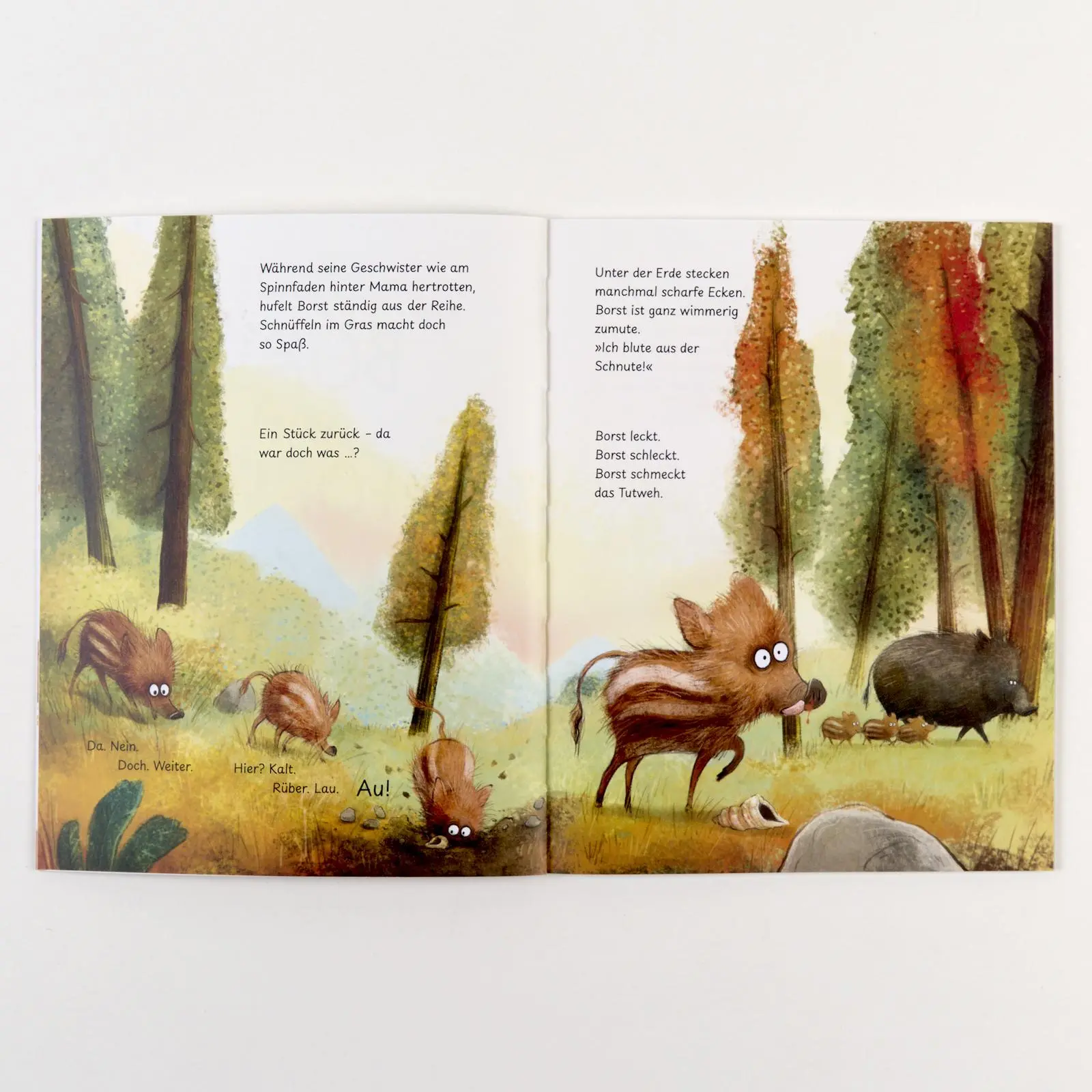 Bild: 9783407762863 | Borst vom Forst | Vierfarbiges Bilderbuch | Yvonne Hergane (u. a.)