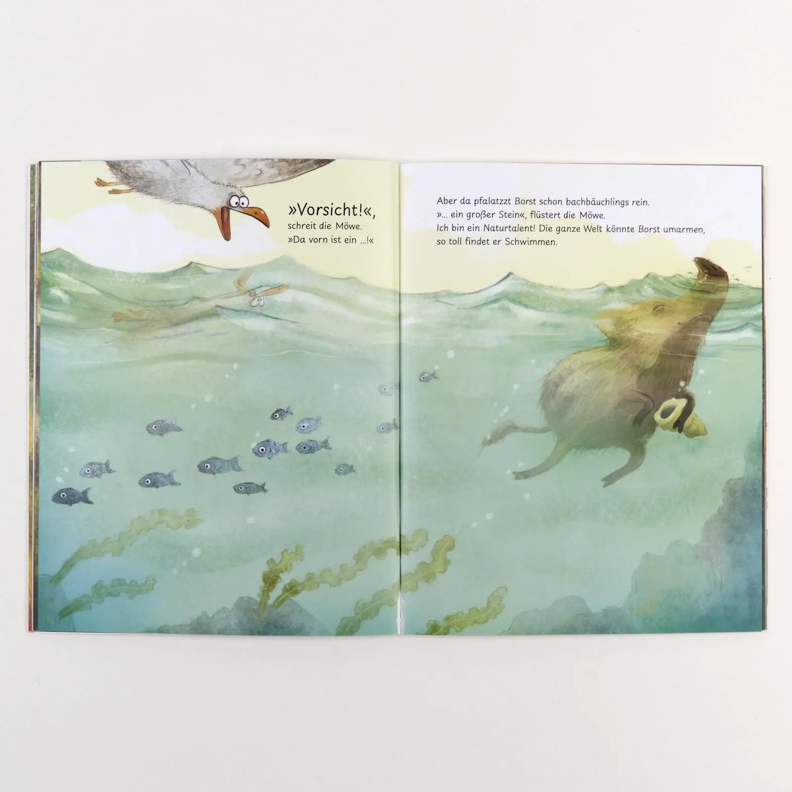 Bild: 9783407762863 | Borst vom Forst | Vierfarbiges Bilderbuch | Yvonne Hergane (u. a.)