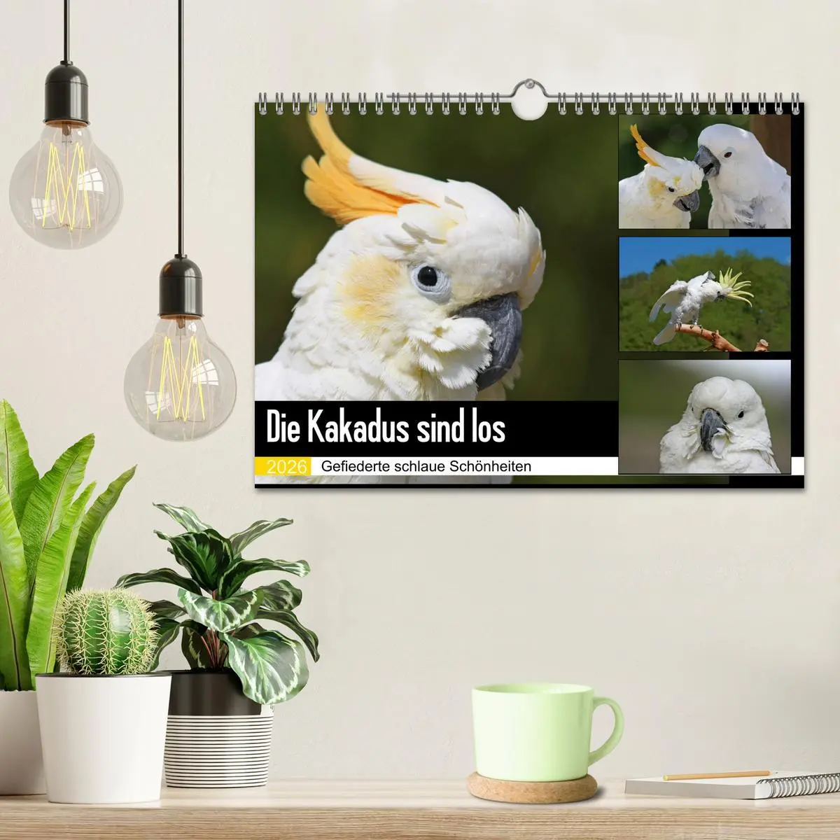 Bild: 9783457882863 | Die Kakadus sind los (Wandkalender 2026 DIN A4 quer), CALVENDO...