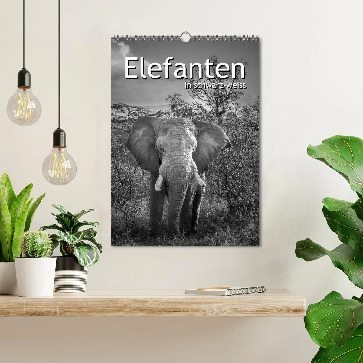 Bild: 9783516422863 | Elefanten in schwarz-weiss (Wandkalender 2026 DIN A3 hoch),...