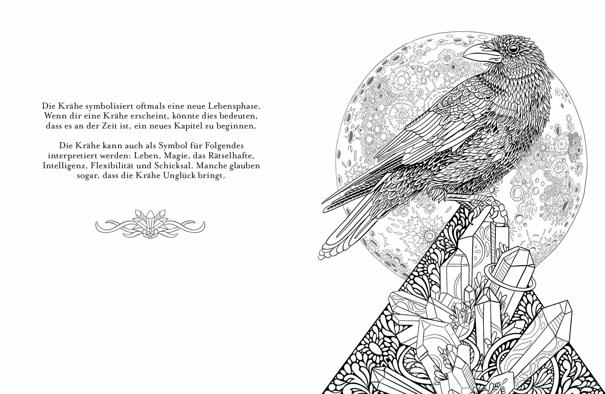 Bild: 9783747402863 | Magie ist überall | Mein zauberhaftes Ausmalbuch | Claire Scully