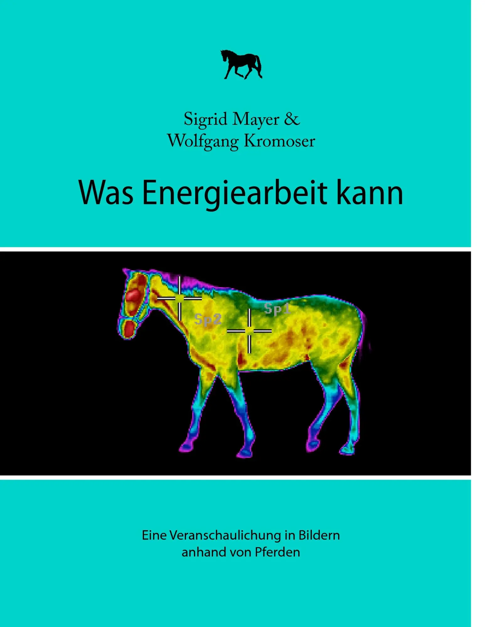 Cover: 9783839192863 | Was Energiearbeit kann | Sigrid Mayer (u. a.) | Taschenbuch | 72 S.