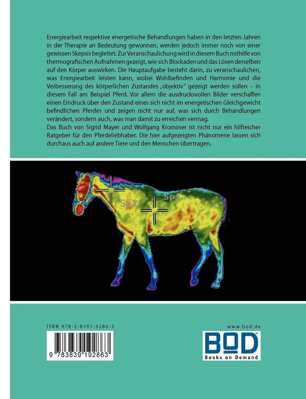 Rückseite: 9783839192863 | Was Energiearbeit kann | Sigrid Mayer (u. a.) | Taschenbuch | 72 S.