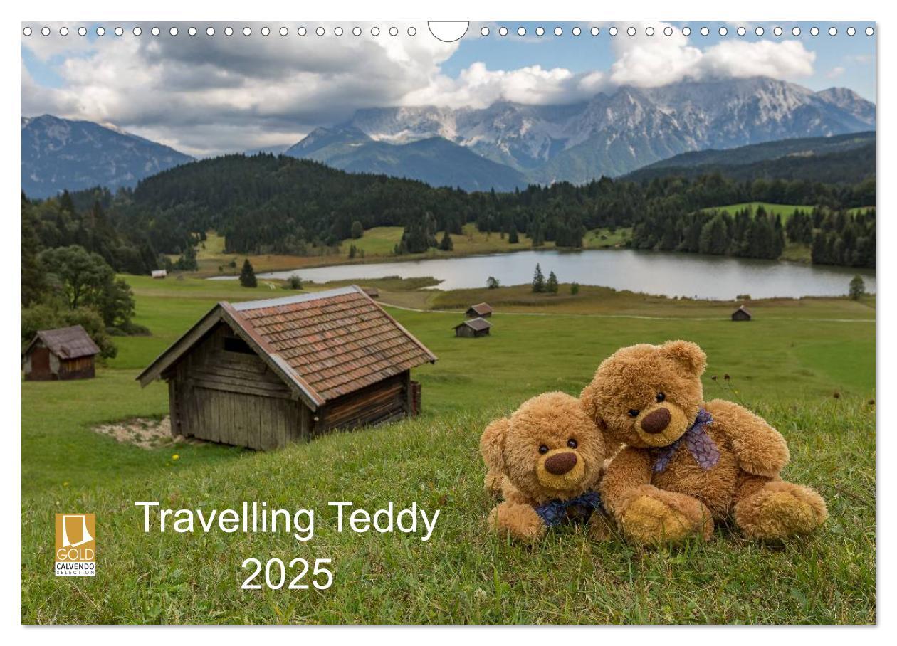 Cover: 9783435503063 | Travelling Teddy 2025 (Wandkalender 2025 DIN A3 quer), CALVENDO...