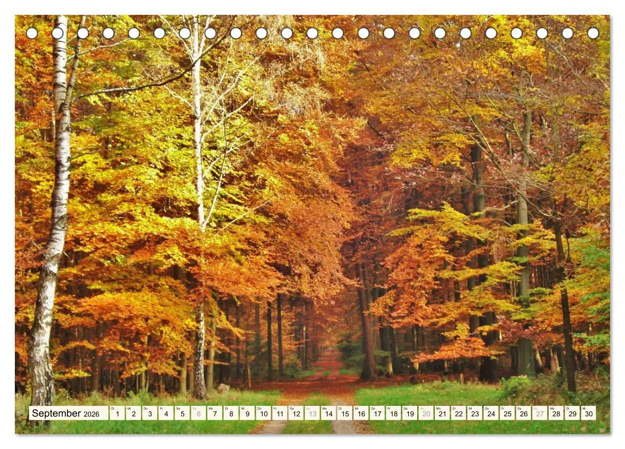 Bild: 9783457903063 | Rotenburg - Die bunte Stadt an der Wümme (Tischkalender 2026 DIN A5...