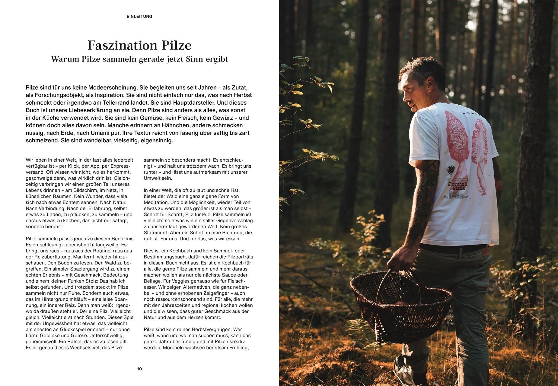 Bild: 9783831053063 | Pilze, Pilze, Pilze | Moritz Schmid | Buch | 272 S. | Deutsch | 2026