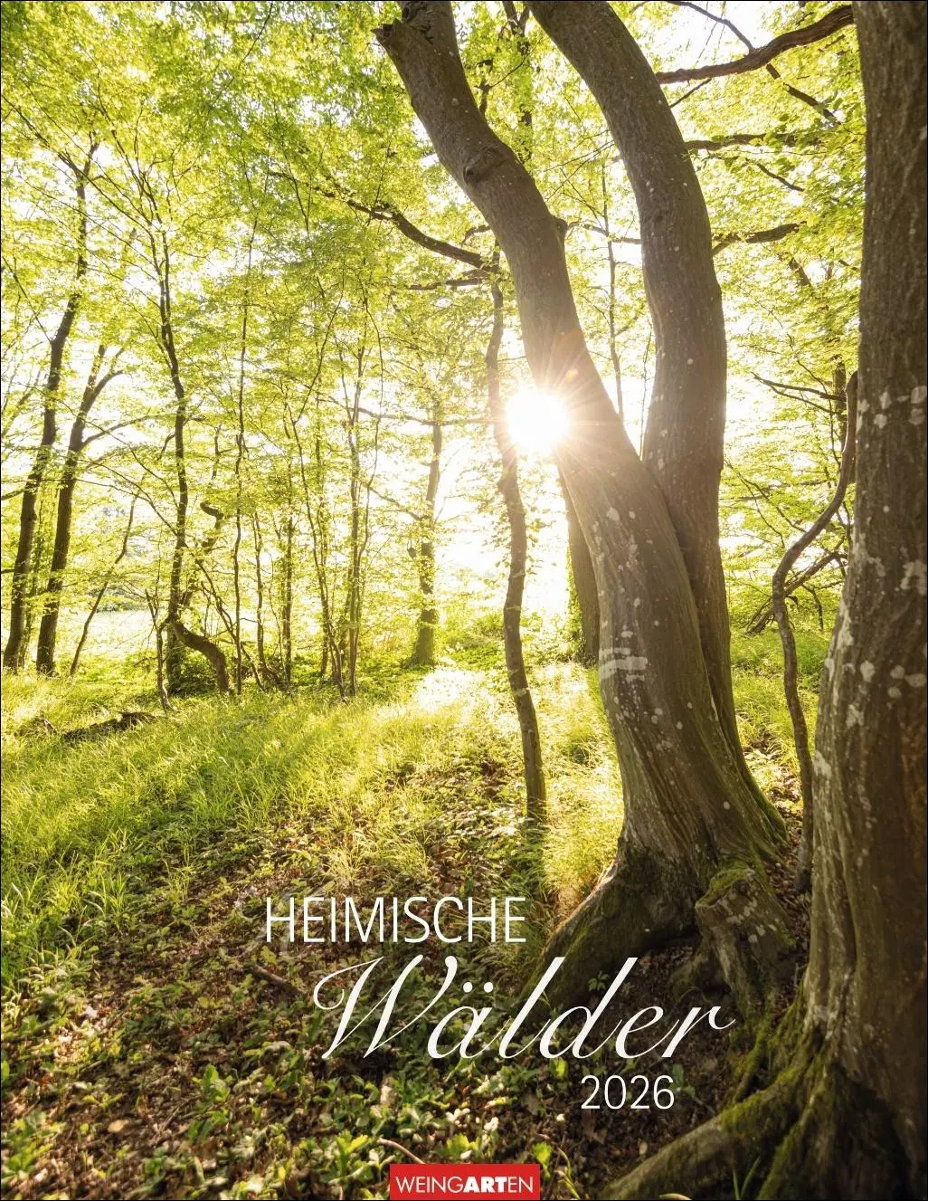 Cover: 9783839903063 | Heimische Wälder Kalender 2026 | Kalender | 14 S. | Deutsch | 2026