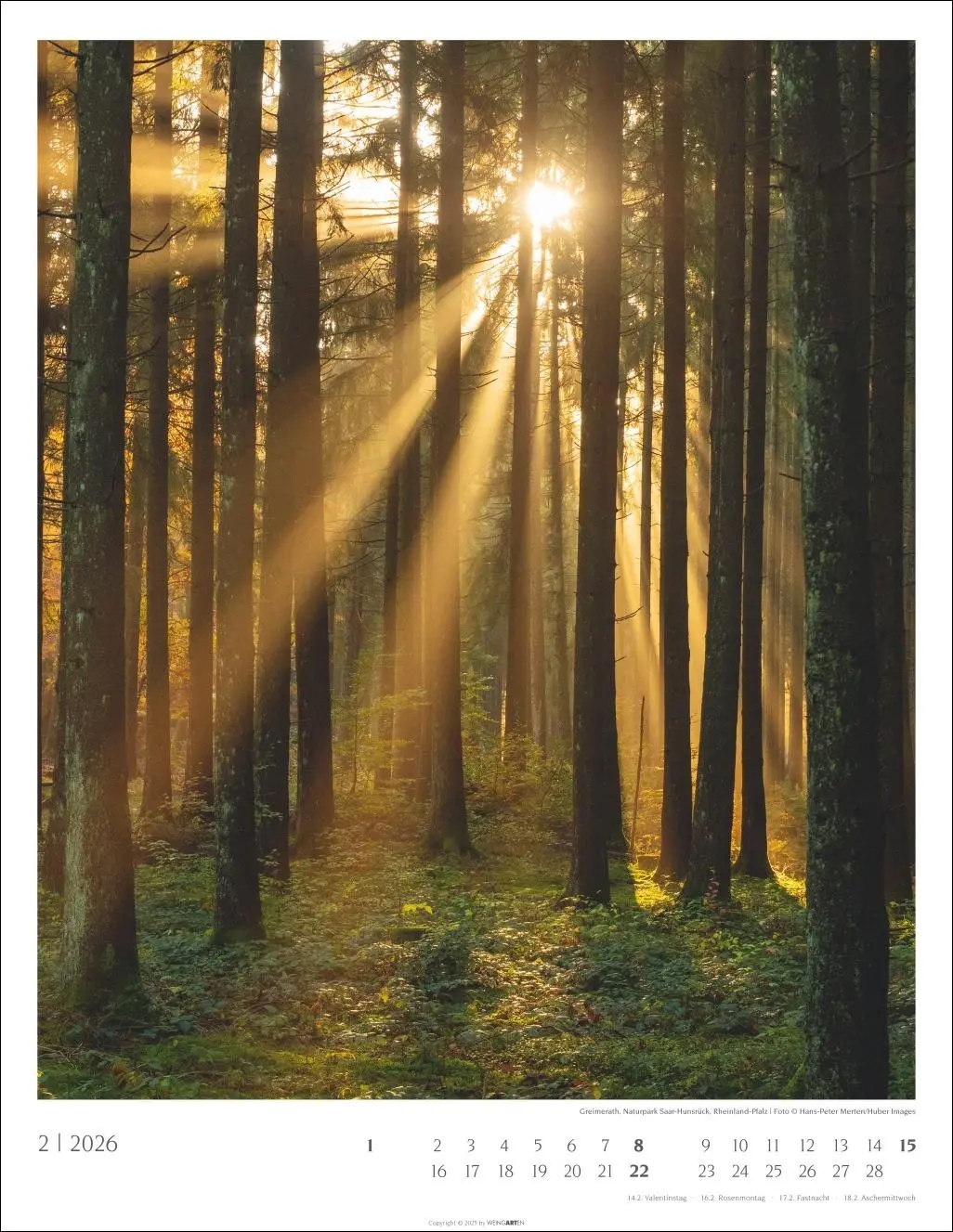 Bild: 9783839903063 | Heimische Wälder Kalender 2026 | Kalender | 14 S. | Deutsch | 2026