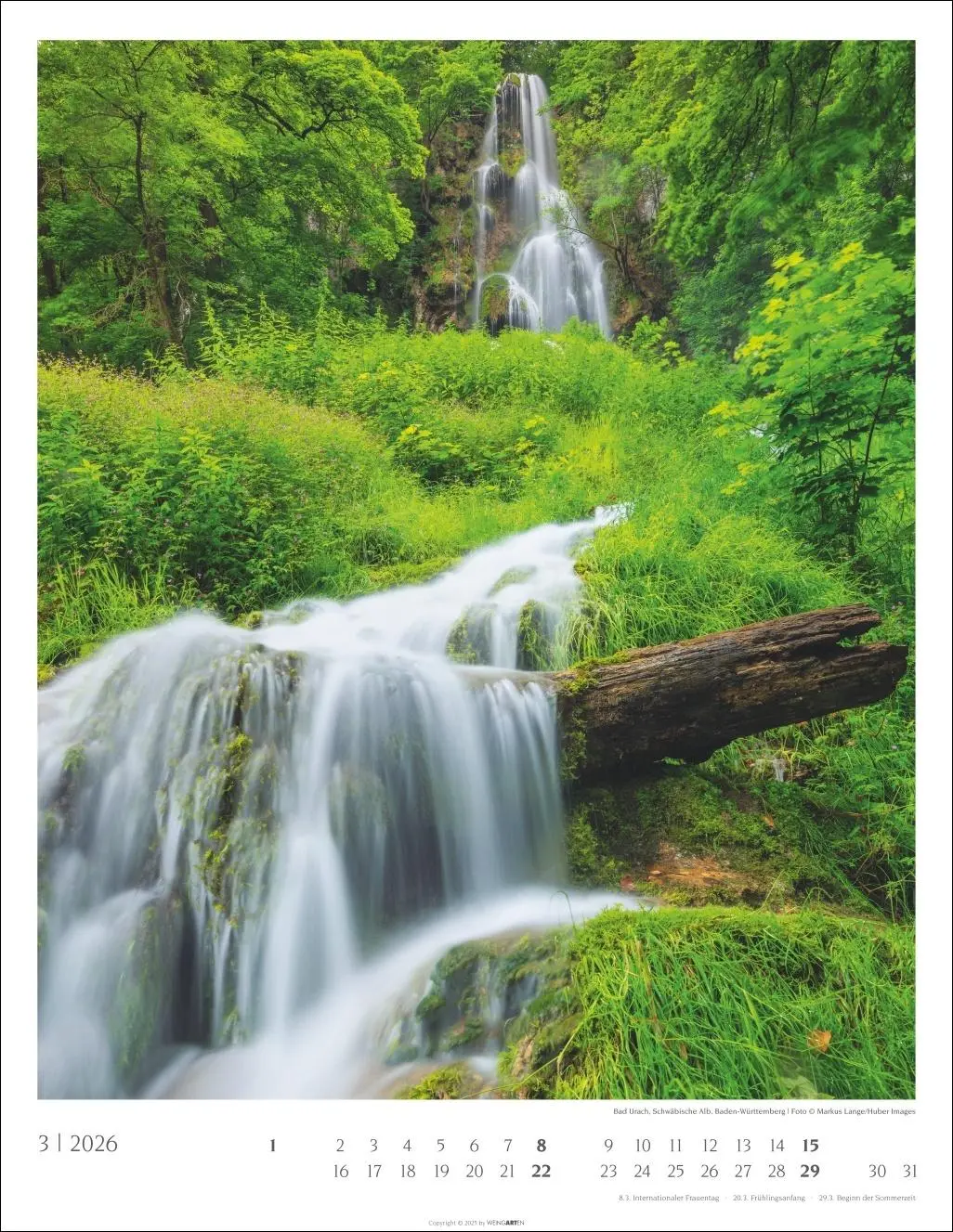 Bild: 9783839903063 | Heimische Wälder Kalender 2026 | Kalender | 14 S. | Deutsch | 2026