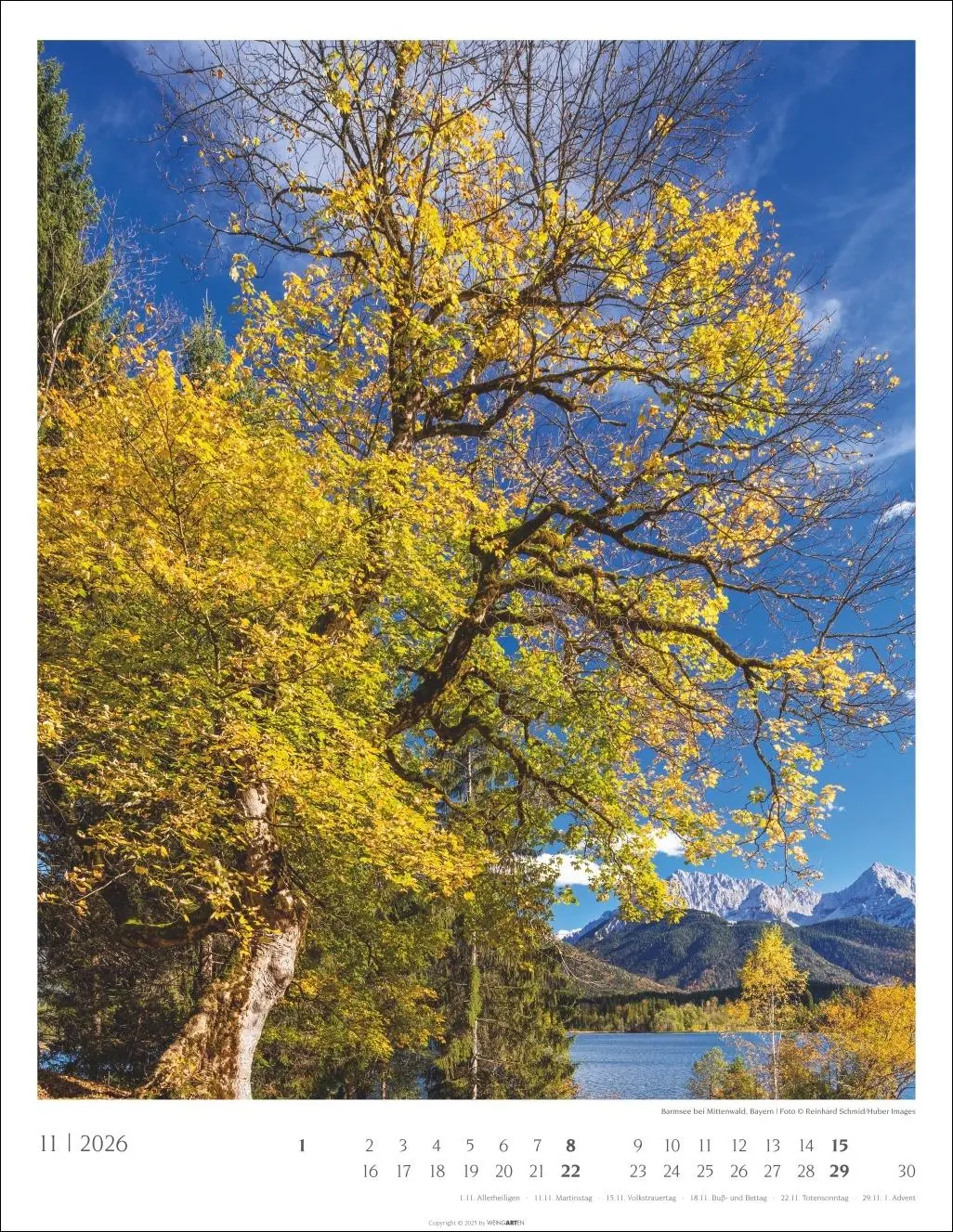 Bild: 9783839903063 | Heimische Wälder Kalender 2026 | Kalender | 14 S. | Deutsch | 2026
