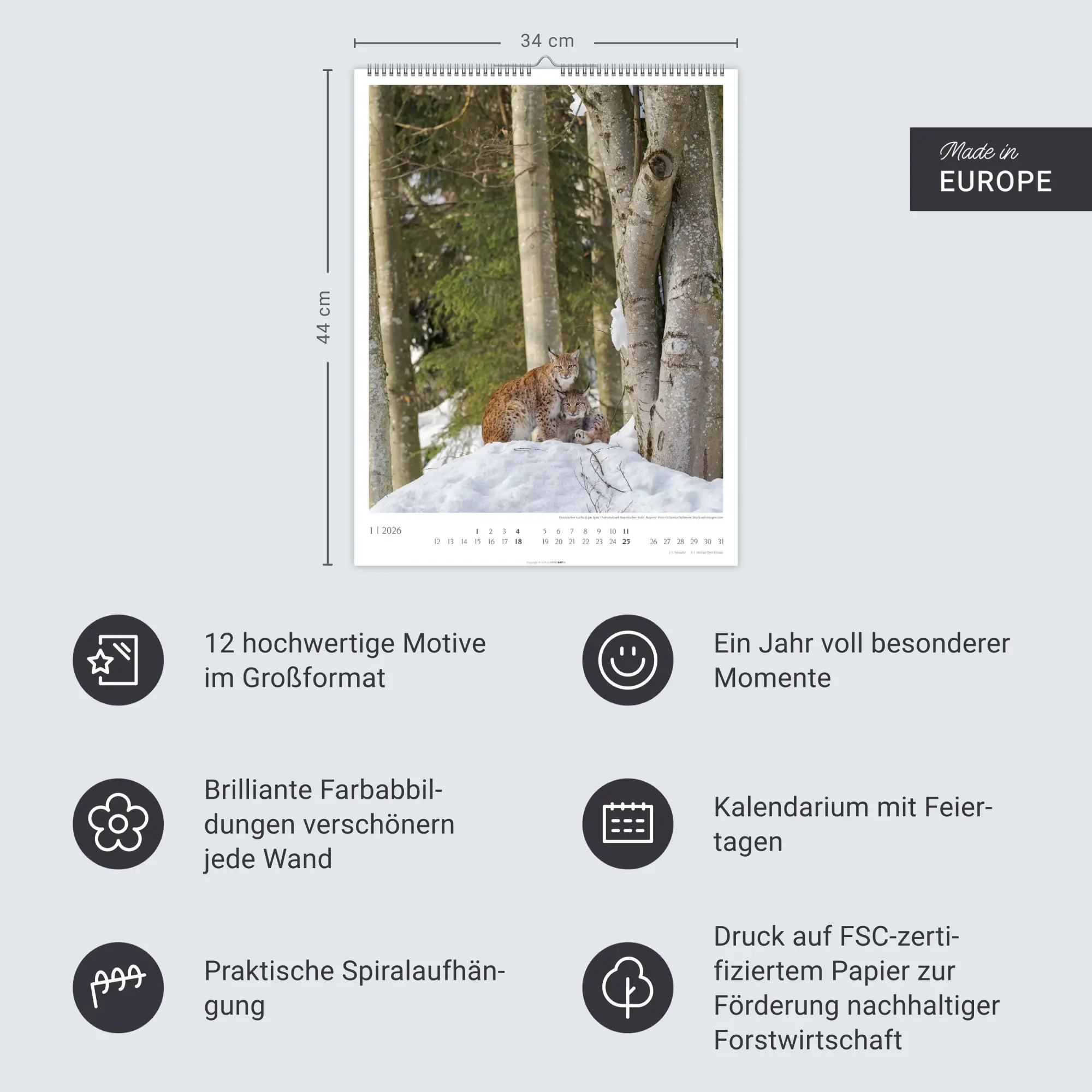 Bild: 9783839903063 | Heimische Wälder Kalender 2026 | Kalender | 14 S. | Deutsch | 2026