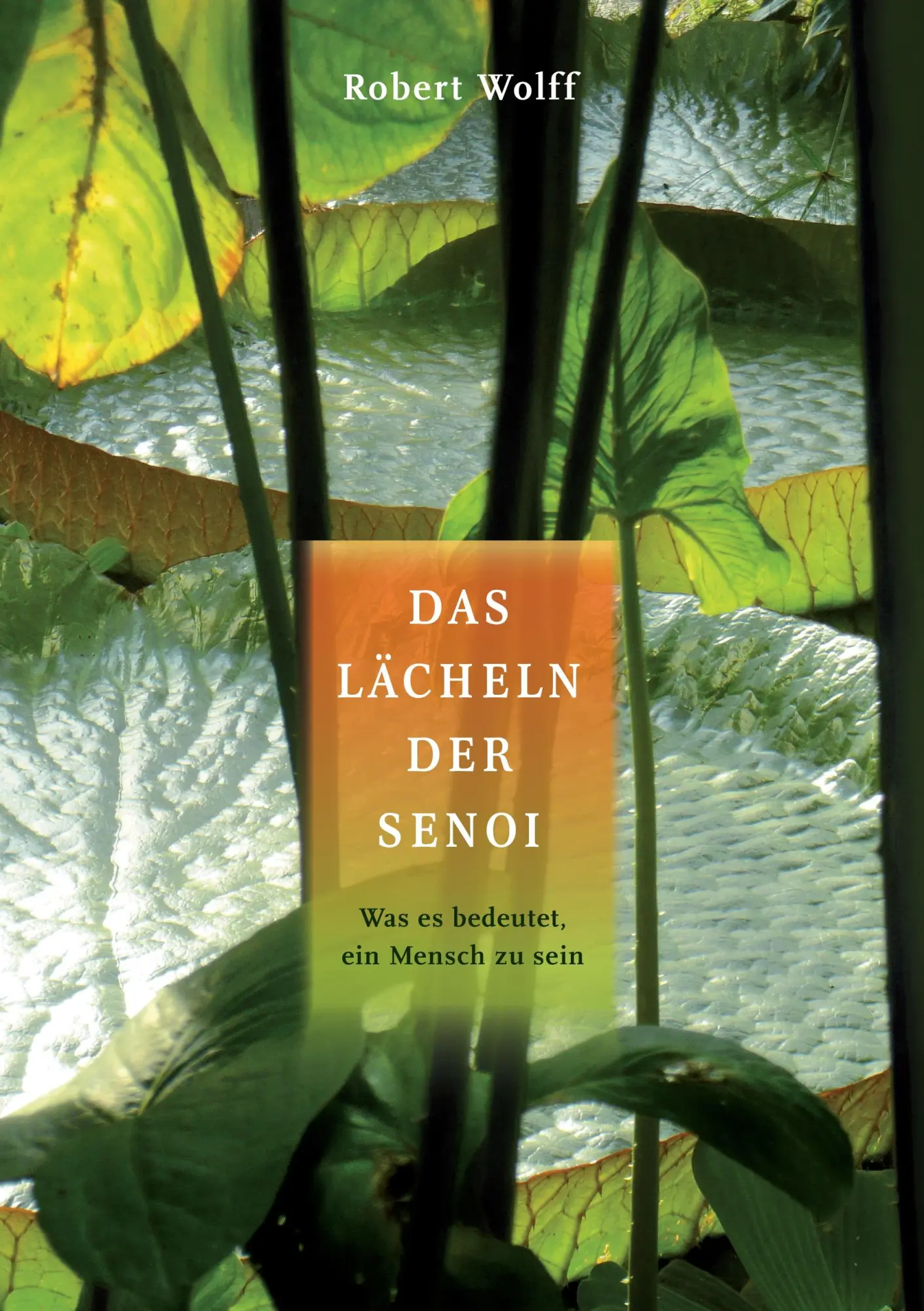 Cover: 9783952383063 | Das Lächeln der Senoi | Was es bedeutet ein Mensch zu sein | Wolff