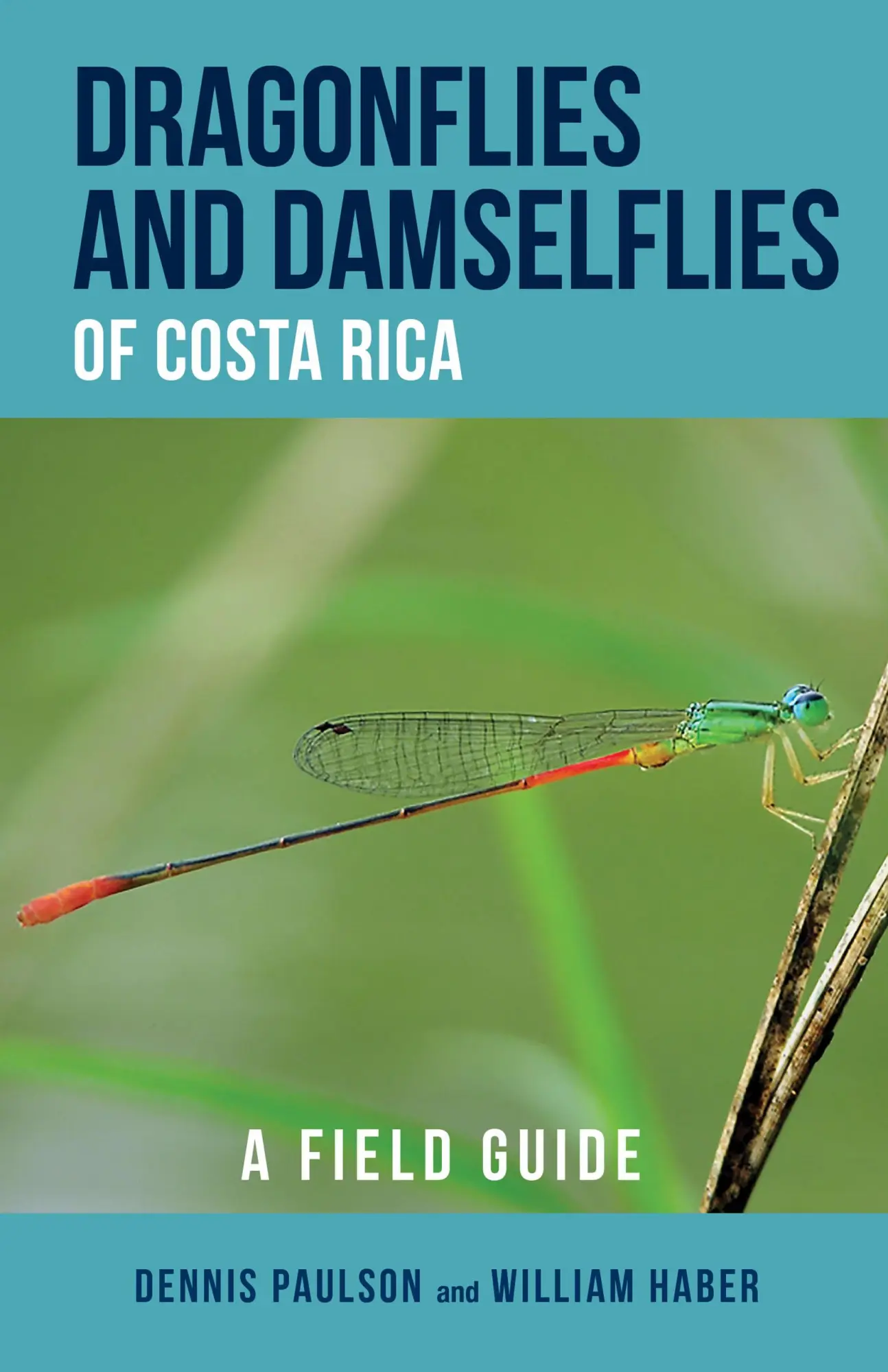 Cover: 9781501713163 | Dragonflies and Damselflies of Costa Rica | A Field Guide | Buch