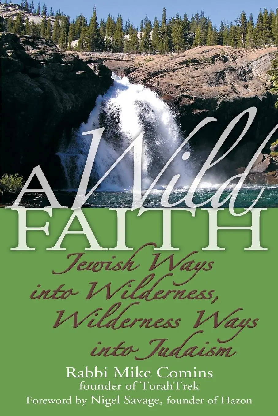 Cover: 9781580233163 | A Wild Faith | Rabbi Mike Comins | Taschenbuch | Englisch | 2007