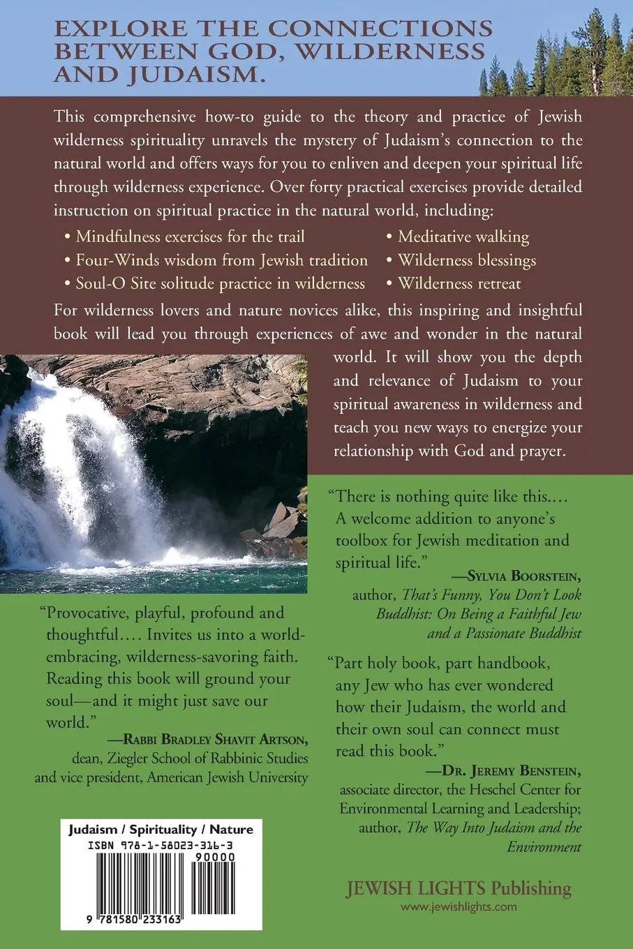 Rückseite: 9781580233163 | A Wild Faith | Rabbi Mike Comins | Taschenbuch | Englisch | 2007