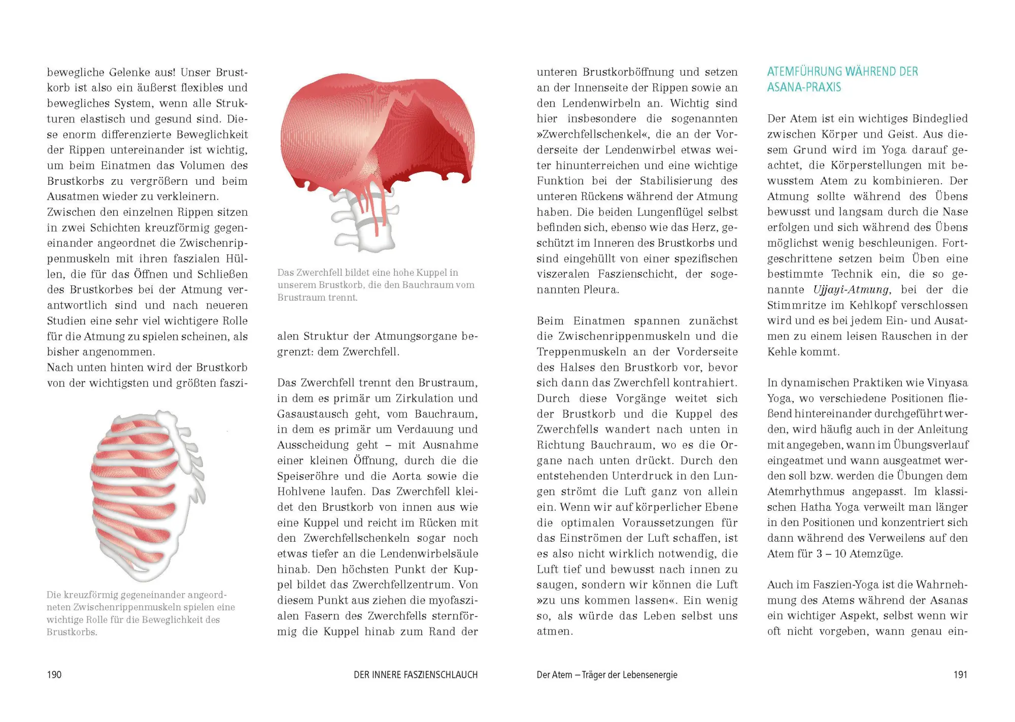 Bild: 9783424153163 | Das große Faszien-Yoga Buch | Daniela Meinl | Buch | 288 S. | Deutsch
