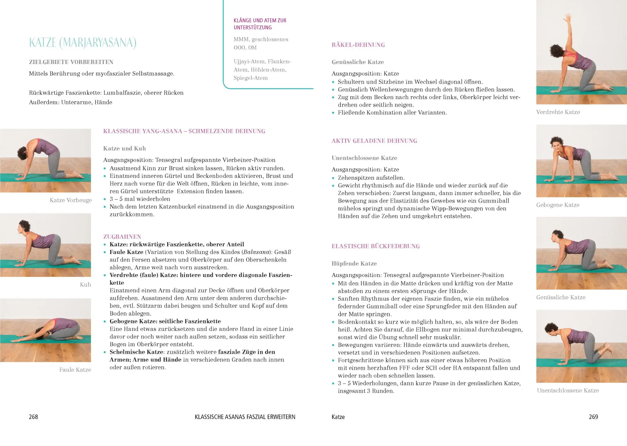 Bild: 9783424153163 | Das große Faszien-Yoga Buch | Daniela Meinl | Buch | 288 S. | Deutsch